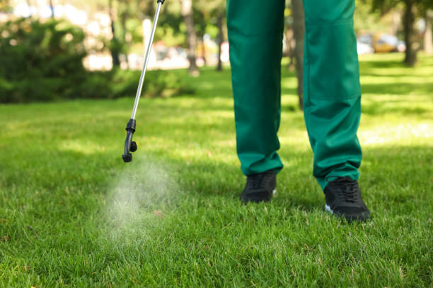 Best Best Pest Control Companies  in Filer, ID