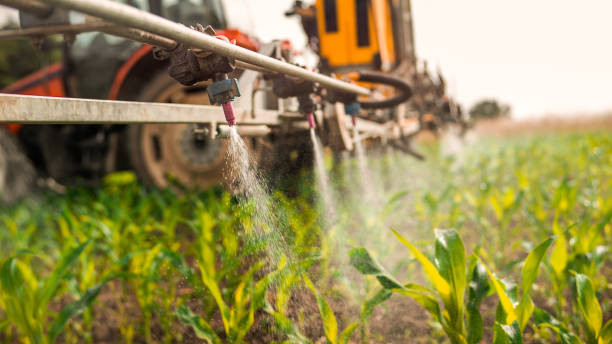 Best Ant Control Services  in Filer, ID
